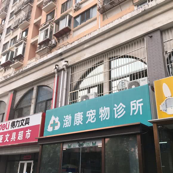 渤康狗狗诊所:济南市天桥区大明湖附近