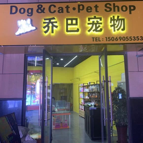 乔巴宠物:济南市天桥区无影山附近