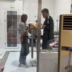 Pet House宠心宠爱生活轻奢馆:天津城区河东区上杭路街/河东万达附近