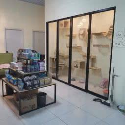 菲营の宠物店:济南市天桥区小清河/盖世物流附近