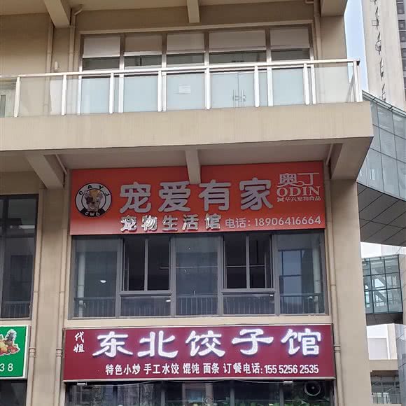 宠爱有家宠物生活馆:济南市天桥区小清河/盖世物流附近