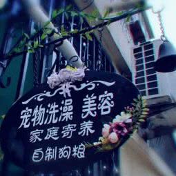 布丁宠物之家:济南市天桥区长途汽车总站附近