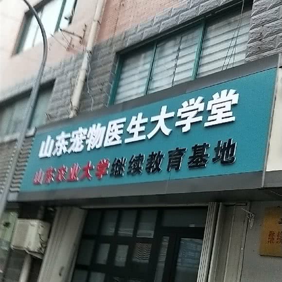 山东宠物医生大学堂:济南市天桥区长途汽车总站附近