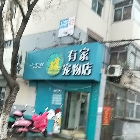 有家宠物店:济南市天桥区长途汽车总站附近