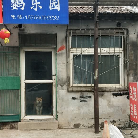 鹦乐园:济南市天桥区长途汽车总站附近