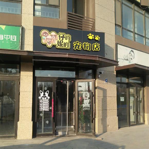 仔的妮的宠物店:济南市天桥区蓝翔路附近