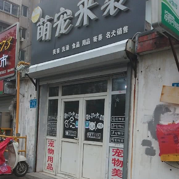 萌宠来袭:济南市天桥区动物园/师范路附近