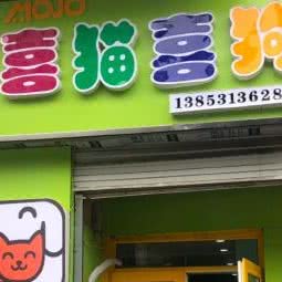 MOJO喜猫喜狗:济南市天桥区山大二院附近