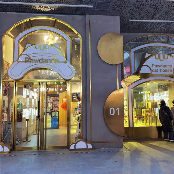 Pawdance Cat猫舍(悦立方店):济南市历城区洪家楼附近