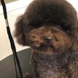 M星人宠物生活体验馆:济南市历城区洪家楼附近