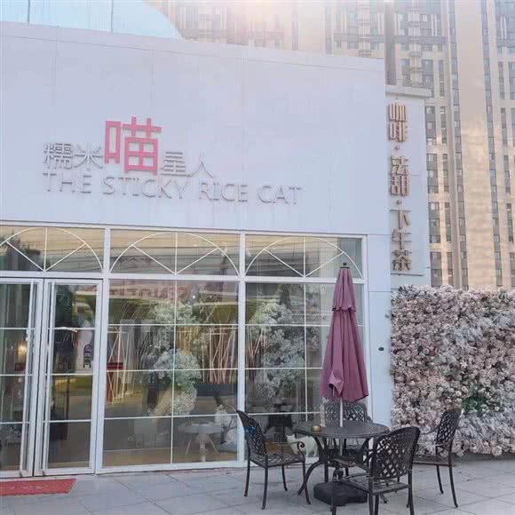 糯米喵星人猫舍(花园路店):济南市历城区洪家楼附近