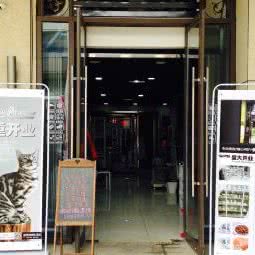 蜜思狗狗:天津城区河东区上杭路街/河东万达附近