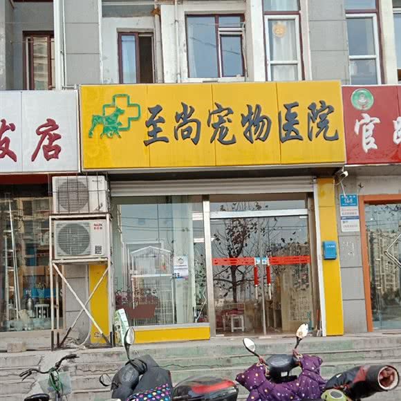 至尚宠物门诊:济南市历城区洪家楼附近