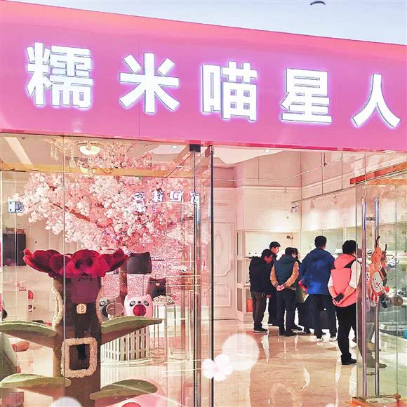 糯米喵星人生活馆猫舍(荣盛时代国际广场店):济南市历城区全福立交桥附近