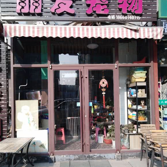 朋友宠物(翡翠清河店):济南市历城区全福立交桥附近