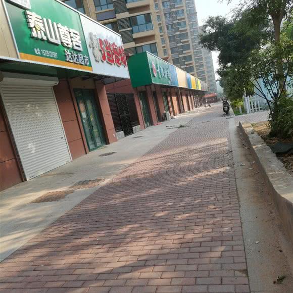 5当宠物:济南市历城区唐冶附近