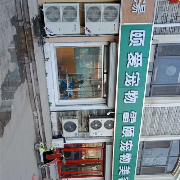 雷颐宠物美容培训:济南市历城区祝甸附近