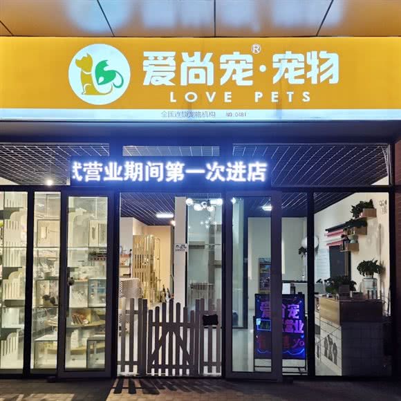 爱尚宠宠物:济南市历城区王舍人/新东站附近