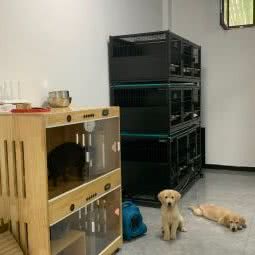 七格萌宠:济南市历城区王舍人/新东站附近