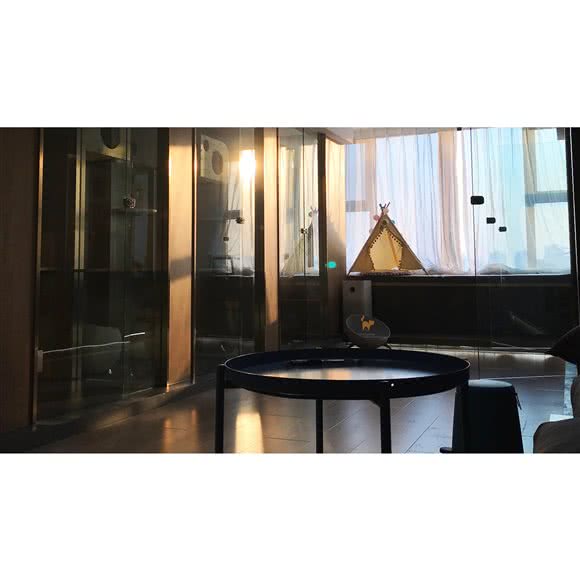 Moly 猫旅猫咪酒店:天津城区河东区上杭路街/河东万达附近