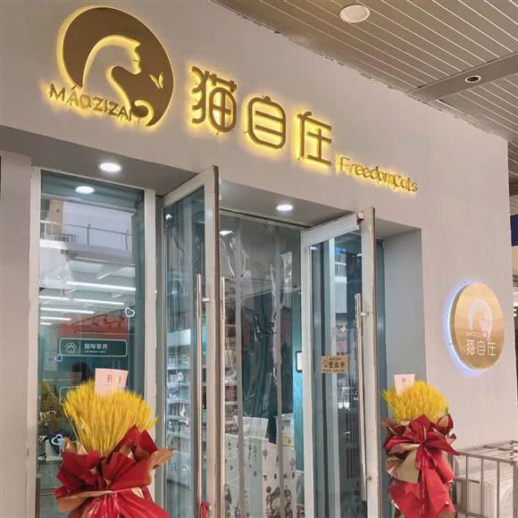 猫自在银点猫舍:天津城区河东区上杭路街/河东万达附近