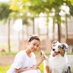 mumu狗狗摄影:济南市历城区南部山区附近