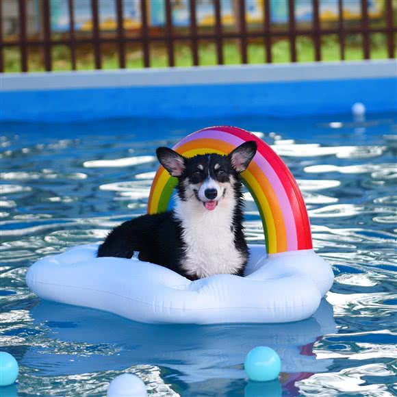 雷纳宠物亲子乐园:济南市历城区南部山区附近