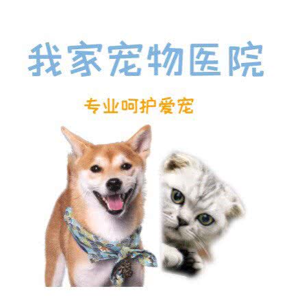 我家宠物医院:天津城区河东区上杭路街/河东万达附近