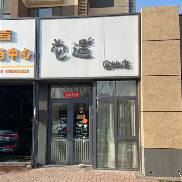 它遇宠物店:济南市历城区山东建筑大学附近