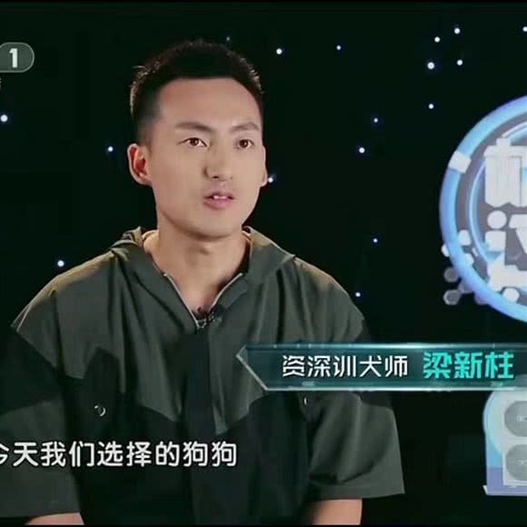 咕噜宠物训练学校:济南市历城区遥墙国际机场附近