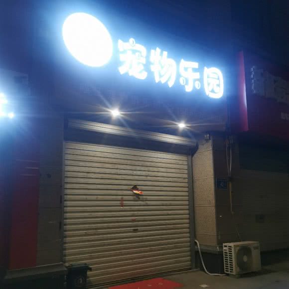 宠物乐园:济南市长清区长清区附近