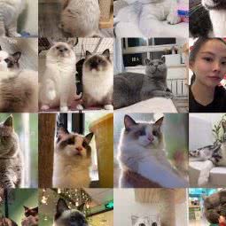 柚子宠物(大学城店):济南市长清区长清区附近