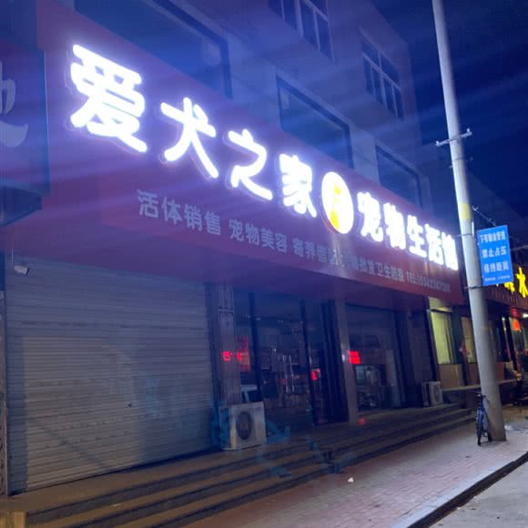 爱犬宠物:济南市长清区长清区附近