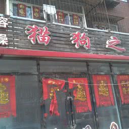 哈尼宝贝猫狗之家宠物沙龙:天津城区河东区中山门附近