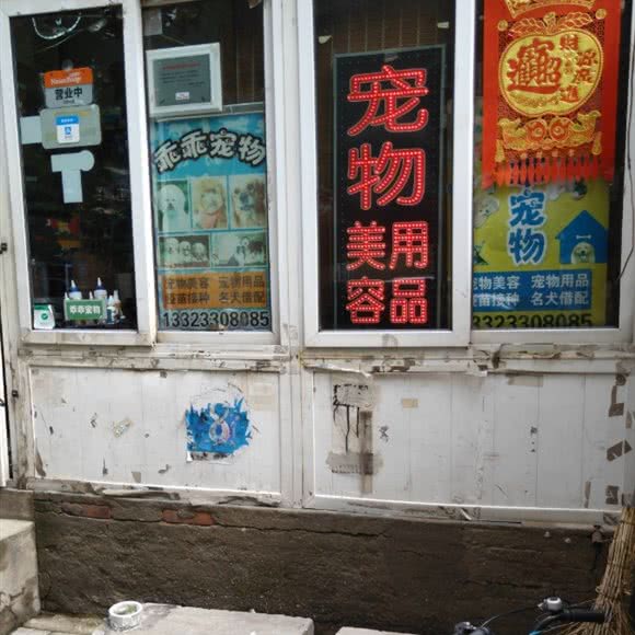 乖乖宠物:天津城区河东区中山门附近