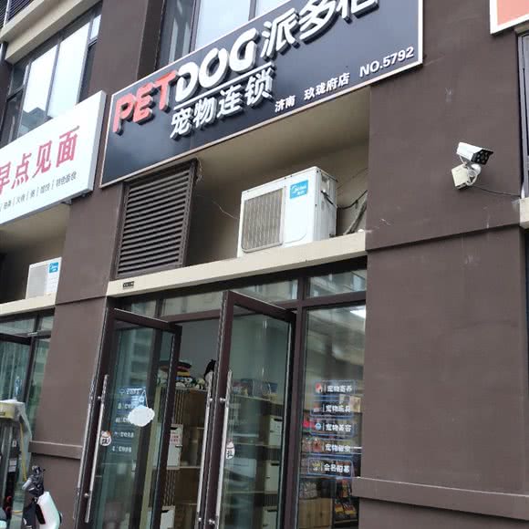 派多格宠物狗:济南市章丘区双山街道附近