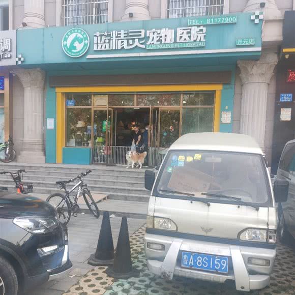 蓝精灵宠物医院(开元店):济南市济阳区济阳区附近