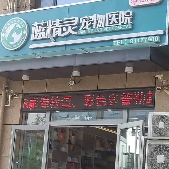 蓝精灵宠物医院:济南市济阳区济阳区附近