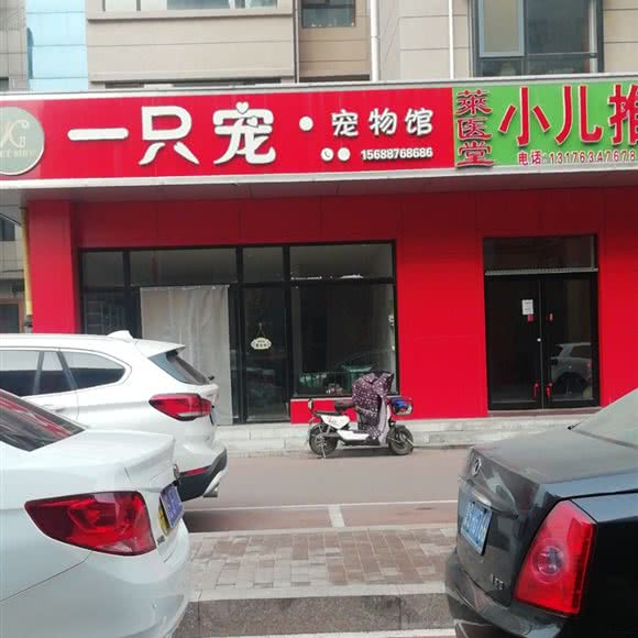 一只宠宠物馆:济南市莱芜区莱芜区附近