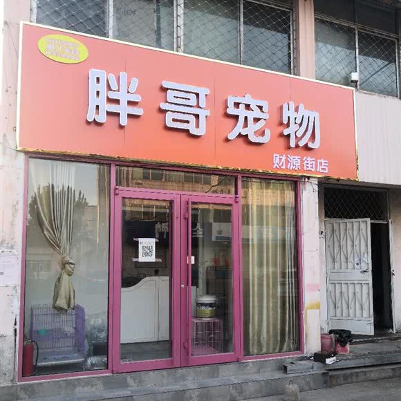 胖哥宠物(财源街店):济南市莱芜区莱芜区附近