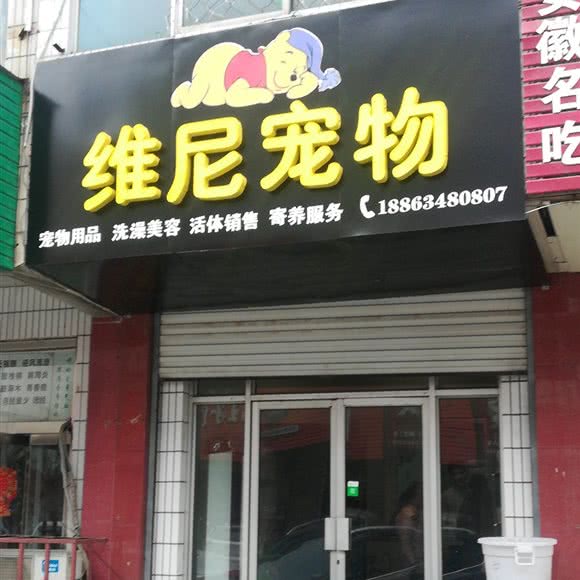 维尼宠物:济南市莱芜区莱芜区附近
