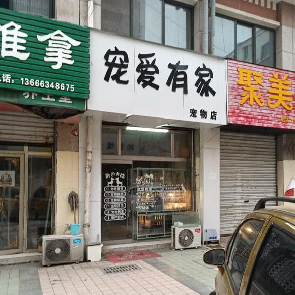宠爱有家:济南市莱芜区莱芜区附近