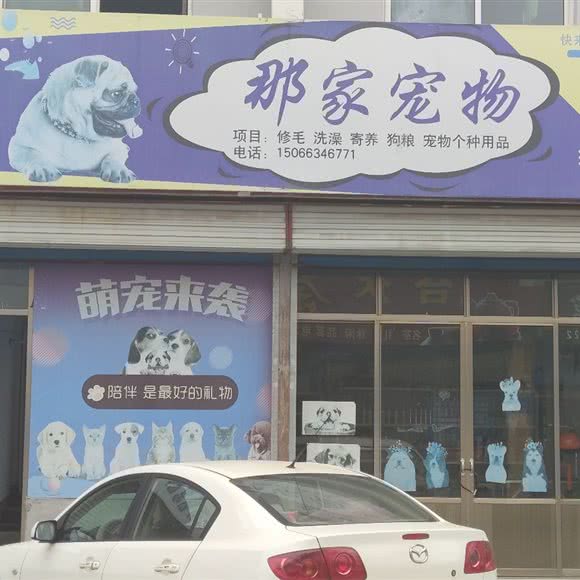 那家宠物吧:济南市钢城区莱钢医院附近