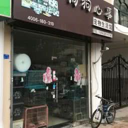 狗狗心事宠物生活馆:青岛市市南区麦凯乐附近