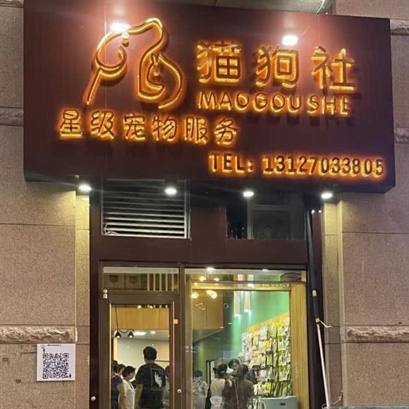猫狗社星级宠物服务:青岛市市南区火车站/团岛附近
