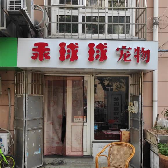 乖球球宠物狗:青岛市市南区火车站/团岛附近