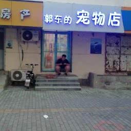 郭东的宠物店:青岛市市南区火车站/团岛附近