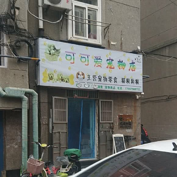 可可爱宠物店:青岛市市南区火车站/团岛附近