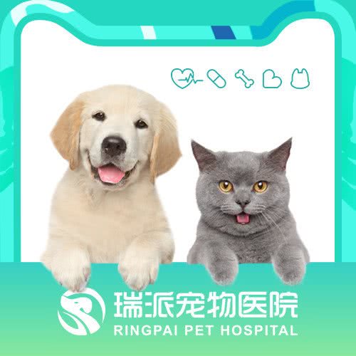 瑞派福兴宠物医院24H(河东店):天津城区河东区大王庄附近