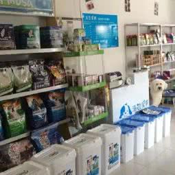 海边宠物:青岛市市南区火车站/团岛附近